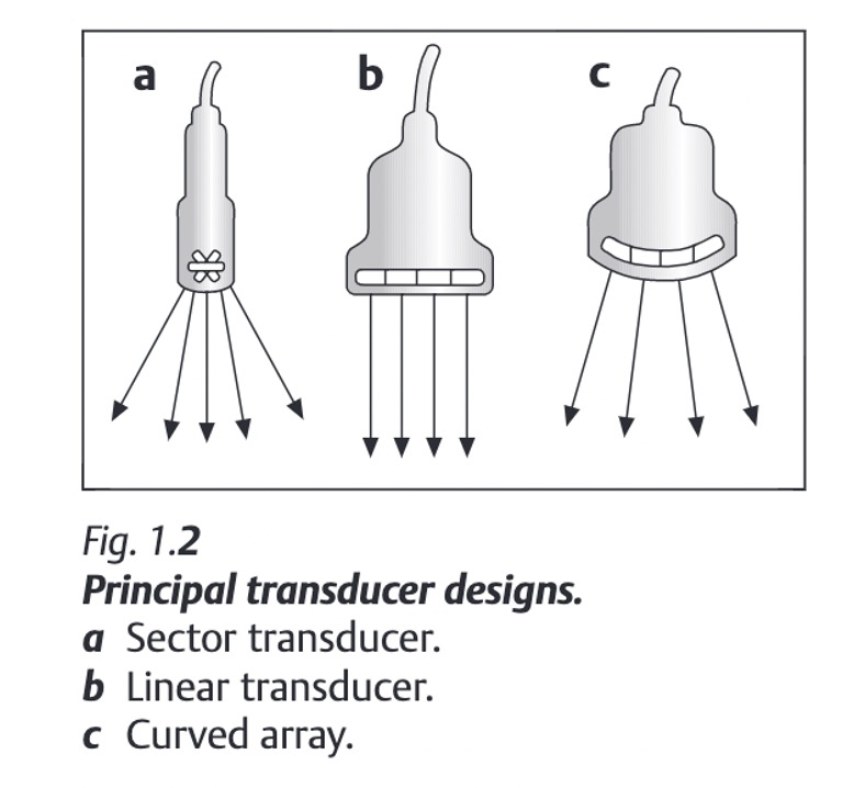 Image of three ultrasound probes